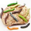 DOYIFUN 12 Pcs Simulation Caterpillar Fake Worm Crawling Insects Science Educational Learning Toys Halloween Prank Joke Toy Party Favors view 4