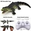 Tipmant Realistic RC Crocodile Remote Control Fish Boat Electric Animal Water Toy for Swimming Pool Lake Kids Birthday (Green) view 3