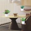 35 pcs Miniature Pots Models House Pot Decor Dollhouse Tiny Tabletop Decor Indoor Garden Bonsai Simulation Artificial Succulents view 2