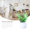 35 pcs Miniature Pots Models House Pot Decor Dollhouse Tiny Tabletop Decor Indoor Garden Bonsai Simulation Artificial Succulents view 4