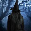 Halloween Old Witch Mask Scary Green Creepy Old Hag Mask with Hair Hat Cosplay Prop Horror Wizard Dress Up Face Cover view 4