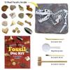 DANCING BEAR Fossil Dig Kit, Excavate 15 Prehistoric Fossils including Real Dinosaur Bones, and Shark Teeth, Paleontology STEM Education for kids, Fun Science Activity Gift Sets for Girls and Boys view 2