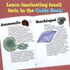 DANCING BEAR Fossil Dig Kit, Excavate 15 Prehistoric Fossils including Real Dinosaur Bones, and Shark Teeth, Paleontology STEM Education for kids, Fun Science Activity Gift Sets for Girls and Boys view 4