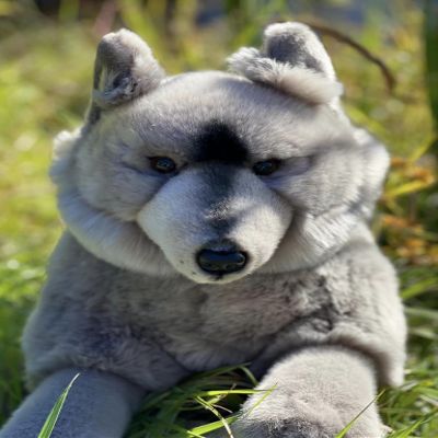 Auswella Plush Grey Wolf Floppy Pose
