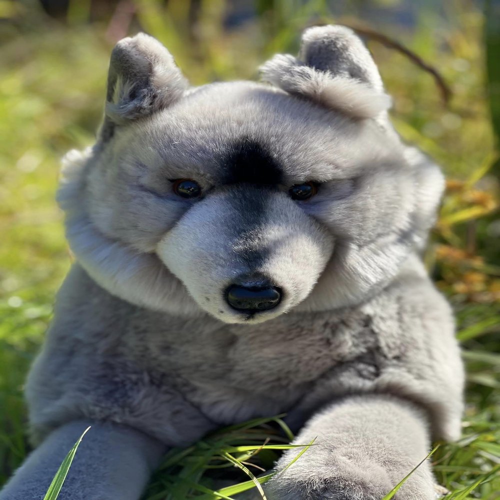 Auswella Plush Grey Wolf Floppy Pose