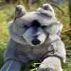 Auswella Plush Grey Wolf Floppy Pose view 1