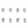 Dolimefasuo Action Figure Doll Body Suitable for GSC, STO, 1/12 BJD Doll Head Replacement Body and Hand Doll Accessories (Almond) view 3