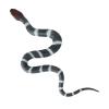 haozaikeji Prank Gift Box Halloween Surprise Horror Box Realistic Snake Mouse Bug Toys Creative Prank Toy Kit Party Favors Decorations April Fools Day view 2