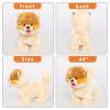 Electronic Walking Pomeranian Stuffed Dog Toy, Realistic Interactive Puppy Robot Pet Dog, Walking, Barking,Wagging Tail & Talking,Present Pet Gifts for 3+ Year Boys Girls view 3