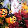 Alipis Halloween Skeleton Pull String Toys for Boys Girls - Spooky Props Skull Sticky Squishy Party Favors 15 Inch Pull Skeleton view 2