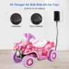 6V Battery Charger for Ride On Toys Car, Compatible with BMX X6, Kid TRAX GMC, Wal-Mart, Moto ATV Quad, Electric Vehicle Power Adapter with Square Plug view 3