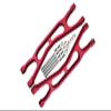 Aluminum 6061-T6 Front Or Rear Extended Upper Arms For Traxxas 1:5 X Maxx 8S With WideMAXX #7895 / XRT 8S Monster Truck Upgrades - Red view 1