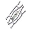 Aluminum 6061-T6 Front Or Rear Extended Upper Arms For Traxxas 1:5 X Maxx 8S With WideMAXX #7895 / XRT 8S Monster Truck Upgrades - Silver view 1