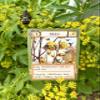 Montrose Biology Ecologies Card Game - Use Science to Build Food Webs in 7 Biomes - Beautiful Vintage Nature Art for The Classroom or Game Night view 2