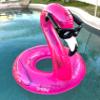 Coconut Outdoor Flamingo with Shades Pool Float  Inflatable Pool Ring  Durable Long Lasting Lounge Tube and Water Toy  Fun Decoration for Parties, Events  Ages 8+ Years view 2