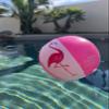 Coconut Outdoor Jumbo Pink Flamingo Beach Ball - Large 27 Inch Inflatable Beach Ball - Great for Summer Parties & Swim Events view 4