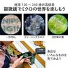 Kenko KL-ST240 Logos Handy Microscope with Smartphone Adapter, 120-240x Magnification, LED Light, Neck Strap Included, Green view 4