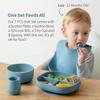 SAMiGO Silicone Baby Feeding Set, Baby Led Weaning Supplies, Suction Bowl Plate Bib Cup Self Feeding Spoons, Solid Food Eating Essentials, First Stage Utensils, 6+ Months view 2
