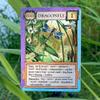 Montrose Biology Ecologies: Bizarre Biomes - Use Science to Build Food Webs in 7 Biomes - Beautiful Vintage Nature Art for The Classroom or Game Night view 3