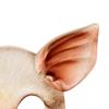 Dzrige Halloween Pig Mask Scary Half Face Pig Mask for Halloween Masquerade Carnival Tricky Party Cosplay Props view 4