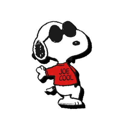 AQUARIUS Peanuts Joe Cool Funky Chunky Novelty Magnet for Refrigerator, Locker, Whiteboard & Game Room Officially Licensed Merchandise & Collectibles