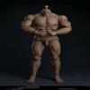 1/6 Scale Male Body, 12inches Male Joint Flexible Muscular Nude Action Figure Body Doll Collection view 3