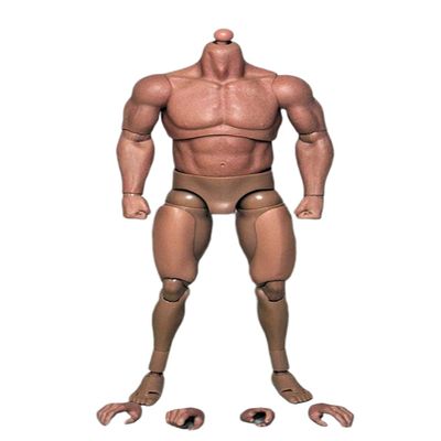 1/6 Scale Male Body, 12inches Male Muscler Strong Action Figure Body Doll Collection