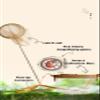 Crab shopkeeper Children's Bug Trap Set of 2 Children's Explorer Set Insect Trap Set Observation Box Children's Telescopic Butterfly Fishing Net Pet Net, Light Brown view 4
