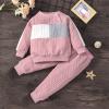 Children Kid Toddler Baby Boys Girls Patchwork Long Sleeve Sweatshirt Blouse Tops Cotton Solid (Pink, 18-24 Months) view 2