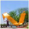 LXLZYXSF Chinese Dragon-Dancing Gymnastics Ribbons Throw Streamer with Rope, Flowy Spinning & Shaking Poi, Recreation and Fitness in One (Color : Gold, Size : 10m/33ft) view 1