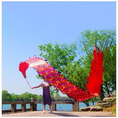 LXLZYXSF Chinese Dragon-Dancing Gymnastics Ribbons Throw Streamer with Rope, Flowy Spinning & Shaking Poi, Recreation and Fitness in One (Color : Red, Size : 10m/33ft)