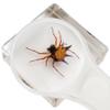 Insect Specimen Set, Bugs Collection Scientific Education Gift for Kids Aged 3-8-12 (Millipede, Centipede, Dragonfly Larvae, Tea Seed Bug, Red Longhorn Beetle, Spiny Spider) view 3