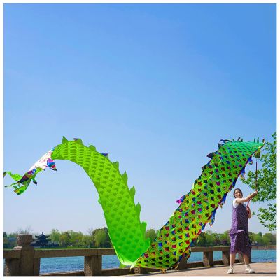 LXLZYXSF Chinese Dragon-Dancing Gymnastics Ribbons Throw Streamer with Rope, Flowy Spinning & Shaking Poi, Recreation and Fitness in One (Color : Green, Size : 6m/20ft)