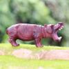 Gemini&Genius Safari Animal Toys, Hippo Figurine Toy, Wildlife World Action Figures, Great Gifts, Collection, Cake Topper, Storytelling Props and Room Decor for Kids 4 Years Old and Up view 3
