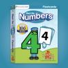 Preschool Prep Company Basics/Reading Flash Card Bundle w/ 8 Sets  Meet The Letters, Numbers, Shapes, & Colors, Meet The Sight Words, Phonics Letter Sounds, Digraphs, & Blends Flashcards! view 3