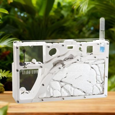 Ant Farm Castle Ant Farm Kit for Kids, Ant Habitat Science Learning Kit, Ant Farms for Live Ants, Ant Colony Educational Toy Kit for Kids