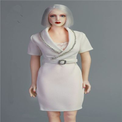 1/6 Scale Female Clothes,Female Professional Secretary Suit Office Clothing for 12inch PH TBL JO Action Figure Doll (A)