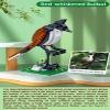 Apostrophe Games Birds Model Building Block Kit - 408 Pieces - Model for Kids and Adults view 3