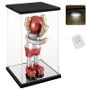 NONEMEY Clear Acrylic Display Case with Remote Control Light for 1000% Bearbrick, Dustproof Model Showcase Organizer Box, Display Case for Collectibles Bearbrick (15.71230inch,403076cm) view 1