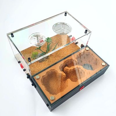YKLL Ant Farm 3D Flat Gypsum Nest Habitat Display Box Science Learning Kit, Formicarium House Study Insect Behavior & Ecosystem at Home & School