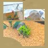 YKLL Ant Farm 3D Flat Gypsum Nest Habitat Display Box Science Learning Kit, Formicarium House Study Insect Behavior & Ecosystem at Home & School view 3
