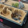 YKLL Ant Farm 3D Flat Gypsum Nest Habitat Display Box Science Learning Kit, Formicarium House Study Insect Behavior & Ecosystem at Home & School view 4