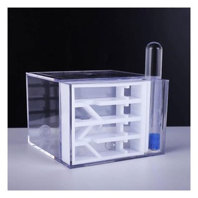 YKLL Ant Farm Acrylic Ant Nest Ant Farm with Moisturizing Water Tower Ant Housing Kit, Transparent Formicarium House Insect Ant Feed Case Box Workshop for Kids & Adults (Color : White)