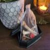 Bone Casting Kit for Hoodoo Witchcraft Divination Magick Bone Throwing Gift Set view 4