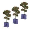 VGEBY Miniature Dollhouse Plants, 3PCS Artificial Fruit Tree Model for 1:12 Scale Dollhouse Decoration Accessory Dollhouse Fruit Tree Dollhouse Plants view 1
