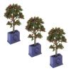 VGEBY Miniature Dollhouse Plants, 3PCS Artificial Fruit Tree Model for 1:12 Scale Dollhouse Decoration Accessory Dollhouse Fruit Tree Dollhouse Plants view 4