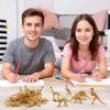 HAVAGDTM 150PCS Dinosaur Fossil Skeleton Dinosaur Skeleton Toys Assorted Figures Dino Bones for Birthday Party Science Play Dino Sand Dig Party Favor Decorations 2.5Inch view 4