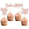 Gyufise 24pcs 16th Birthday Cupcake Toppers - Rose Gold Glitter Hello Sweet 16 Cupcake Picks - 2009 16th Birthday Cake Decorations for Anniversary Party Supplies view 1