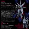 Mobile Suit Gundam G Frame FA Providence Gundam view 3