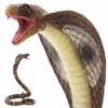 Gemini&Genius King Cobra Figurine Toy- Safari Animal Toys, Fake Snake Action Figures, Scary Snake Toy-6.5 Inches Height, or Garden Decor Scare Birds view 4